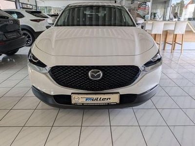 Gebraucht Mazda CX-30 Prime-Line 150 PS (110 kW) 2020 Arctic white SUV