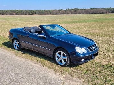 Gebraucht Mercedes CLK200 163 PS (119 kW) 2005 Blau Cabrio
