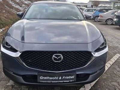 Gebraucht Mazda CX-30 Selection 179 PS (131 kW) 2020 Grau SUV
