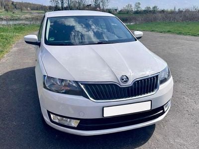 Usata Skoda Rapid Ambition 105 CV (77 kW) 2014 Bianco Utilitaria