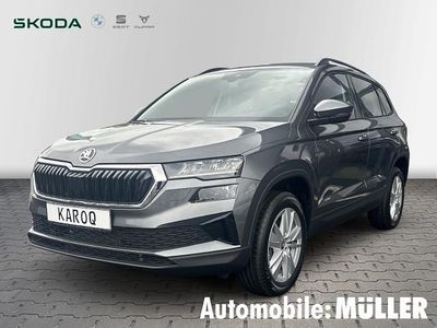 Grau Gebraucht 2025 Skoda Karoq Selection SUV | 35.990 € (Teuer)