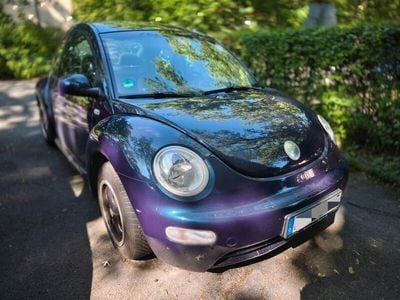 VW Beetle