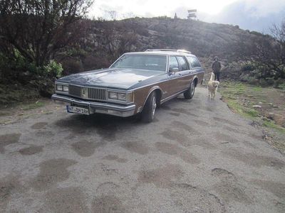 Gebraucht Oldsmobile Custom Cruiser 145 PS (106 kW) 1988 Blau Kombi