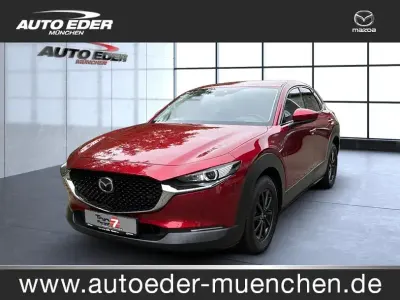 Gebraucht Mazda CX-30 Selection 180 PS (132 kW) 2021 Rot SUV