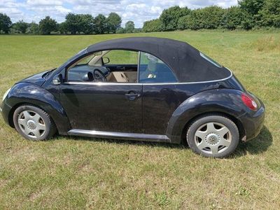 VW Beetle