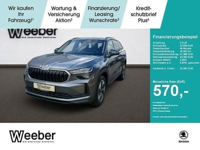 Usata Skoda Kodiaq Selection 204 CV (150 kW) 2025 Grigio SUV