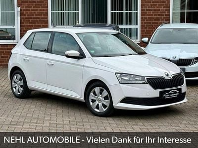 Gebraucht Skoda Fabia Active 60 PS (44 kW) 2021 Weiß Kleinwagen