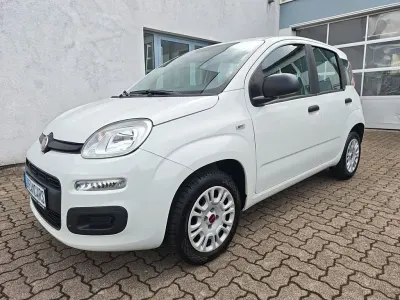 Occasion Fiat Panda Easy 69 ch (50 kW) 2020 Blanc Citadine