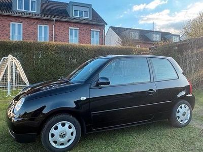 Gebraucht VW Lupo 60 PS (44 kW) 2002 Schwarz Kleinwagen