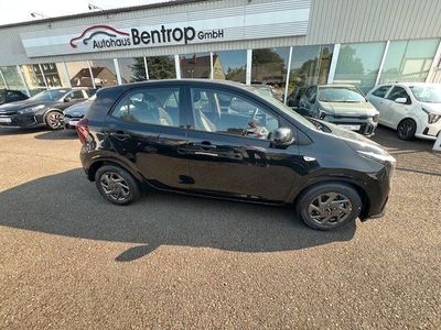 Neu Kia Picanto Vision 79 PS (58 kW) 2025 Schwarz Kleinwagen