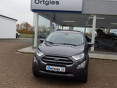 Gebraucht Ford Ecosport Titanium 125 PS (91 kW) 2019 Grau SUV