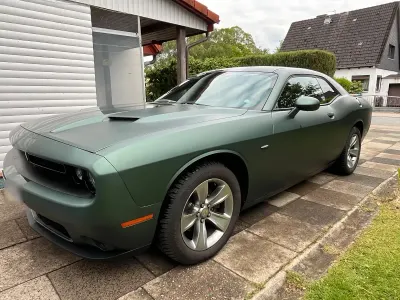 Occasion Dodge Challenger SXT 309 ch (227 kW) 2015 Vert Coupé