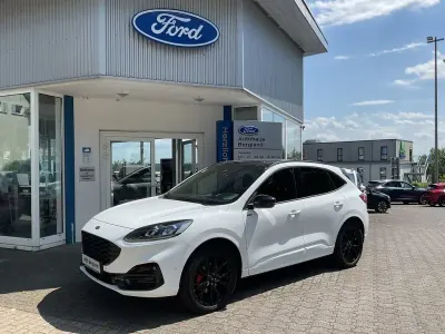 Gebraucht Ford Kuga ST-Line X 190 PS (139 kW) 2024 Frozen white weiß SUV