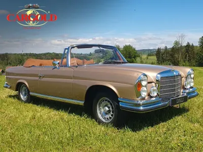 Gebraucht Mercedes 280 SE 200 PS (147 kW) 1970 Gold Cabrio