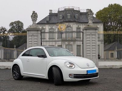VW Beetle
