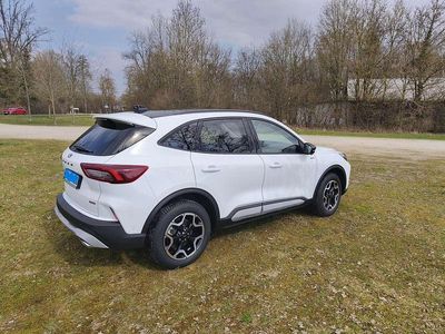 Gebraucht Ford Kuga Active X 179 PS (131 kW) 2024 Weiß SUV