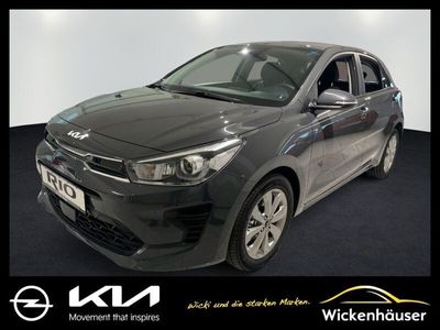 gebraucht Kia Rio 1.2 Vision FLA SpurH LM KlimaA PDC