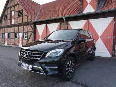 Schwarz Gebraucht 2015 Mercedes ML350 SUV | 25.500 € (Etwas zu teuer)