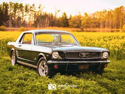 Gebraucht Ford Mustang 200 PS (147 kW) 1966 Grün Coupé