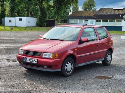 VW Polo