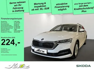 Gebraucht Skoda Octavia Ambition 150 PS (110 kW) 2023 Weiß Kombi