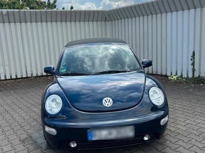 VW Beetle
