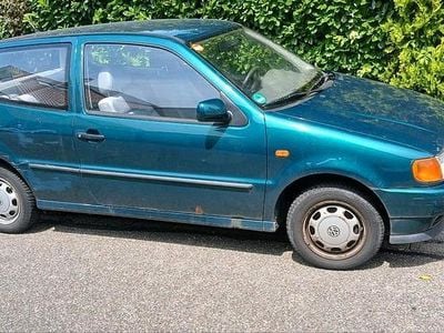 VW Polo