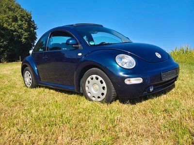 VW Beetle
