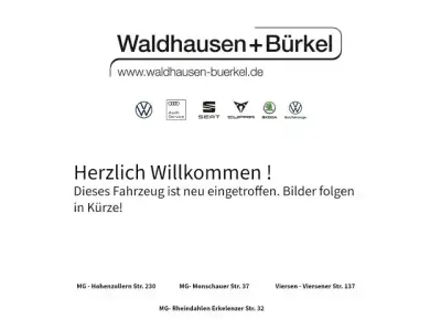 Usata VW Golf VIII 2022 Andere