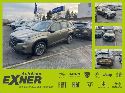 Gebraucht Subaru Forester