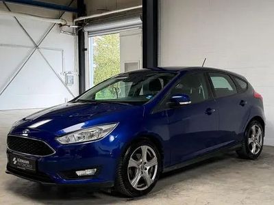 Usata Ford Focus Trend 103 CV (75 kW) 2017 Blu Berlina