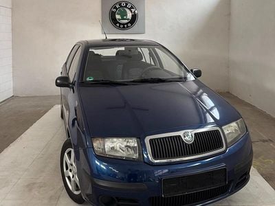 Blau Gebraucht 2006 Skoda Fabia Comfort Kleinwagen | 3.850 €