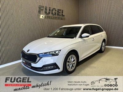 Gebraucht Skoda Octavia Style 116 PS (85 kW) 2023 Candyweiss Kombi