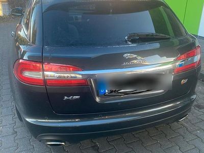 Gebraucht Jaguar XF 275 PS (202 kW) 2015 Braun Kombi