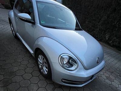 VW Beetle
