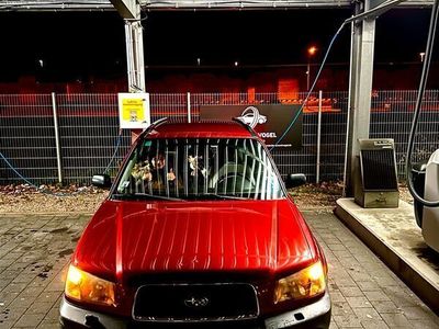 gebraucht Subaru Forester für bestler