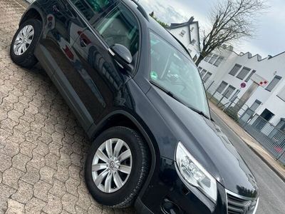 gebraucht VW Tiguan Trend & Fun 4MOTION*Xenon*