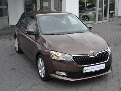 Gebraucht Skoda Fabia Active 95 PS (69 kW) 2021 Braun Kleinwagen