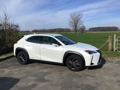 gebraucht Lexus UX 250h