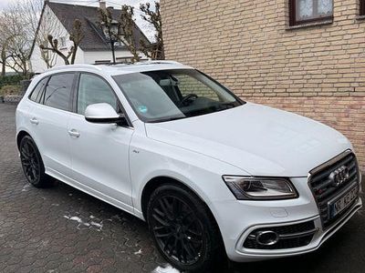 Gebraucht Audi SQ5 Sport 326 PS (239 kW) 2016 Weiß SUV