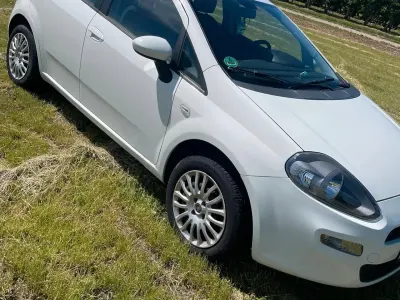 Gebraucht Fiat Punto 77 PS (56 kW) 2013 Weiß Kleinwagen