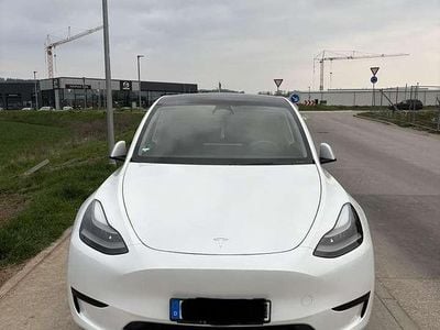 Gebraucht Tesla Model Y RWD 219 kW (299 PS) 2023 Weiß SUV