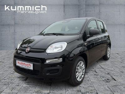 Neu Fiat Panda Icon 69 PS (50 kW) 2026 Schwarz Kleinwagen