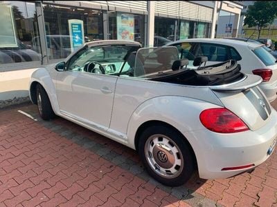 VW Beetle