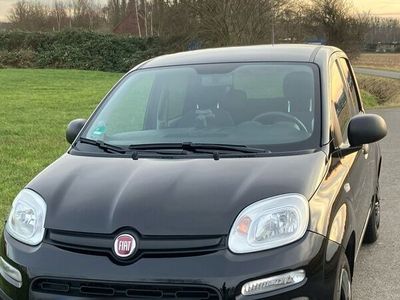 gebraucht Fiat Panda Lounge 1.2