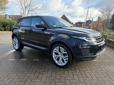Gebraucht Land Rover Range Rover evoque Pure 150 PS (110 kW) 2019 Schwarz SUV