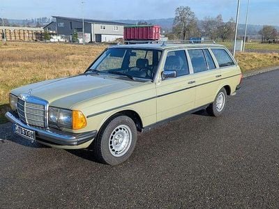 Grün Gebraucht 1983 Mercedes 300 Kombi | 19.300 €