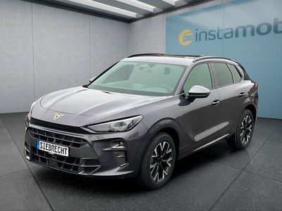 Usata Cupra Terramar 150 CV (110 kW) 2025 Viola SUV