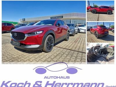 Gebraucht Mazda CX-30 Homura-Line 122 PS (89 kW) 2024 Soul red crystal SUV
