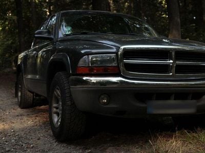 Gebraucht Dodge Dakota 239 PS (175 kW) 2004 Grau Pickup